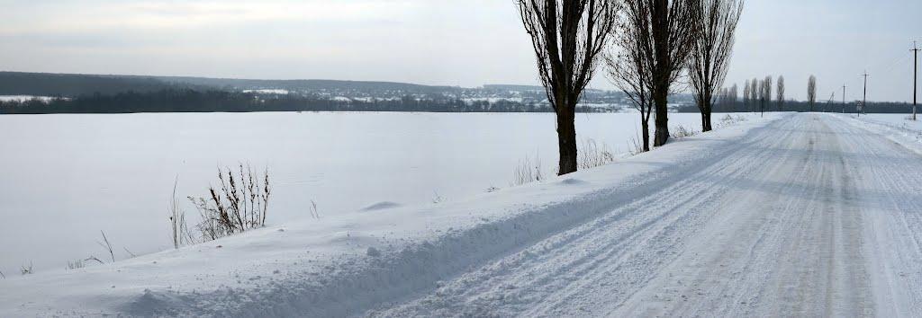 Пугачівка з panoramio.com - Пугачівка
