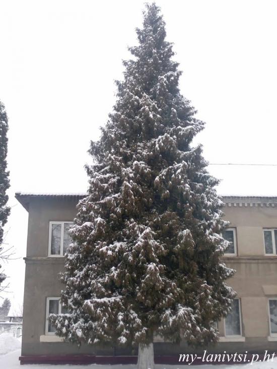 Ланівці з panoramio.com - Лановцы
