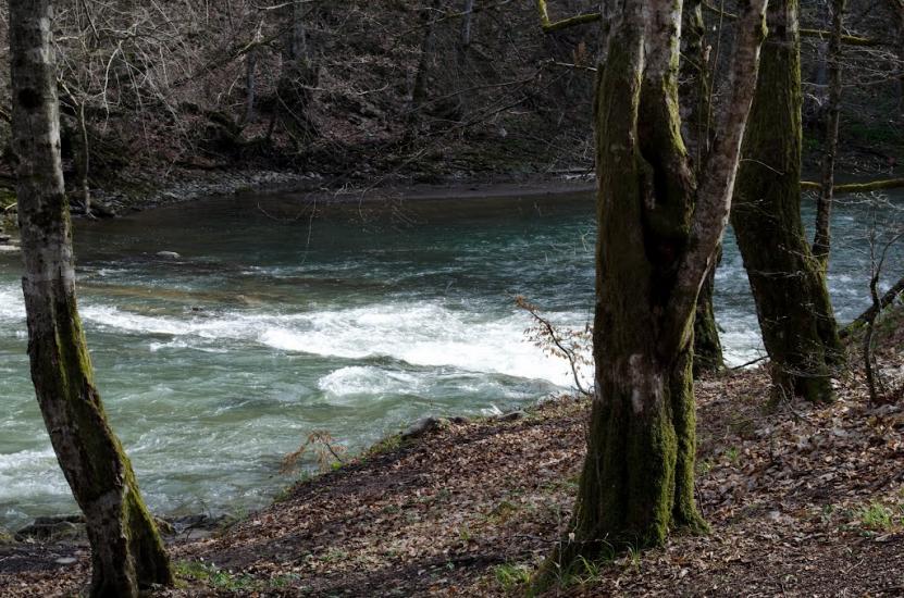 Костева Пастіль з panoramio.com - Костева Пастіль