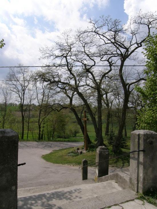 Корчів з panoramio.com - Корчев