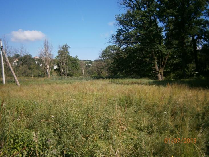 Розділ з panoramio.com - Роздол