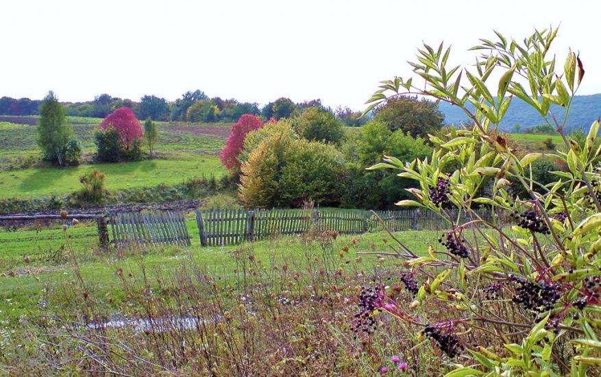 Рогачин з panoramio.com - Рогачин