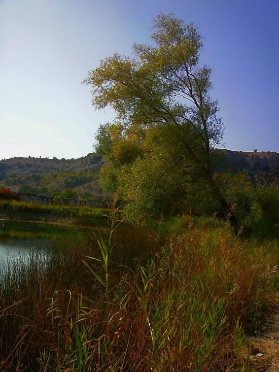 Красний Мак з panoramio.com - Красный Мак