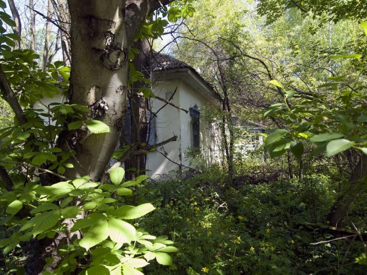Дитятки з panoramio.com - Дитятки