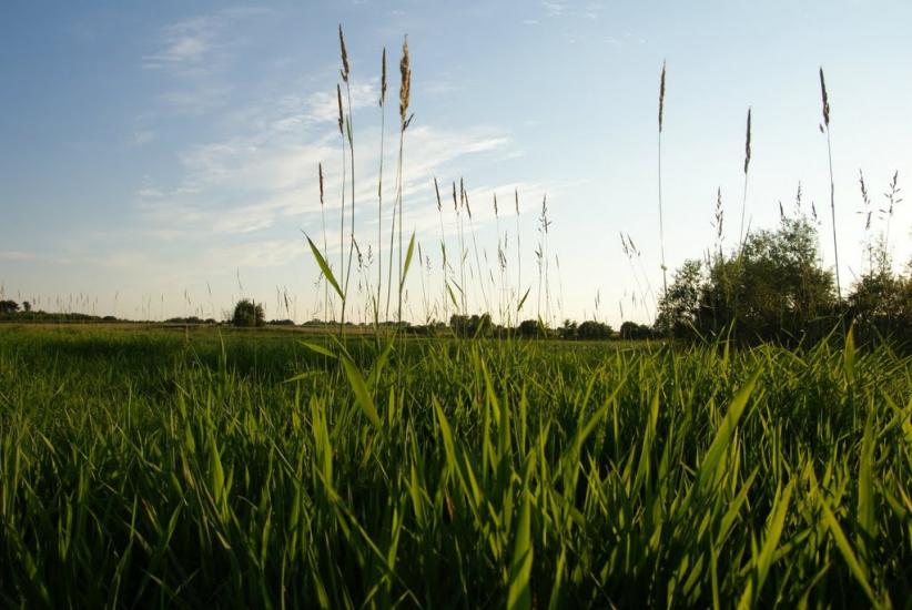 Вишнівка з panoramio.com - Вишнівка