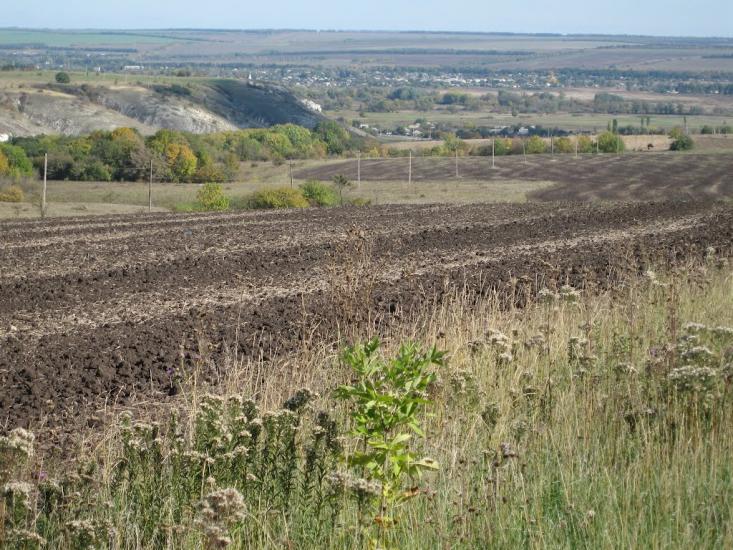 Айдар-Миколаївка з panoramio.com - Айдар-Николаевка