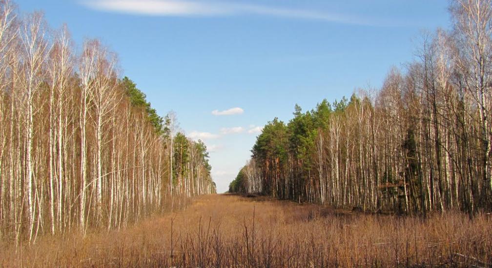 Дитятки з panoramio.com - Дитятки