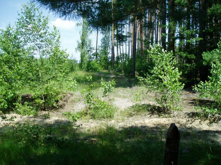 Ігнатпіль з panoramio.com - Игнатполь