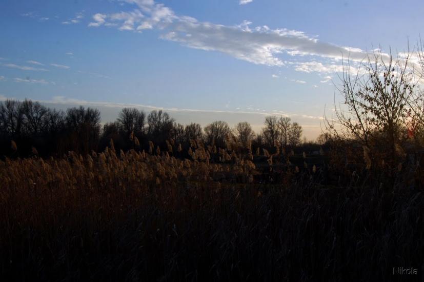 Єпіфанівка з panoramio.com - Єпіфанівка