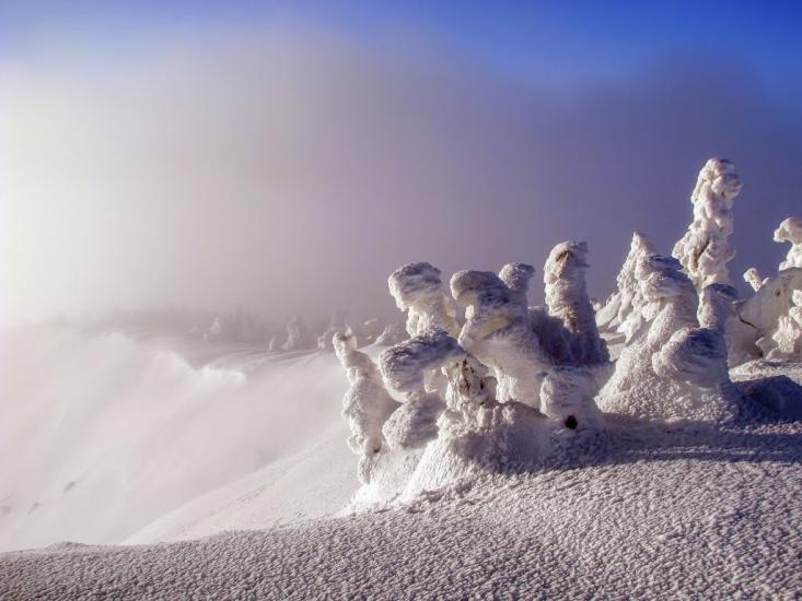 Лопухів з panoramio.com - Лопухов