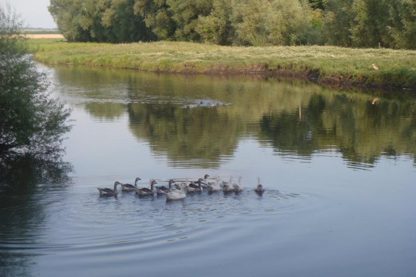 Гелетинці з panoramio.com - Гелетинці