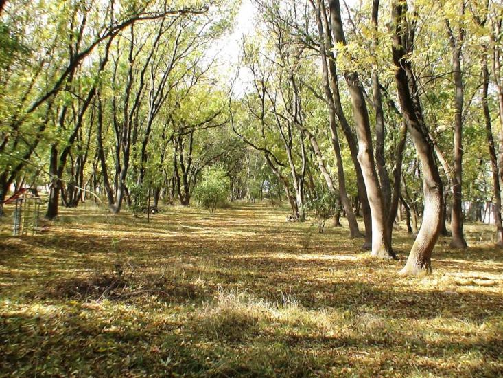 Роздольне з panoramio.com - Роздольне