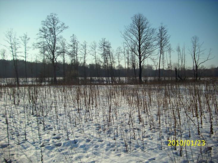 Варва з panoramio.com - Варва