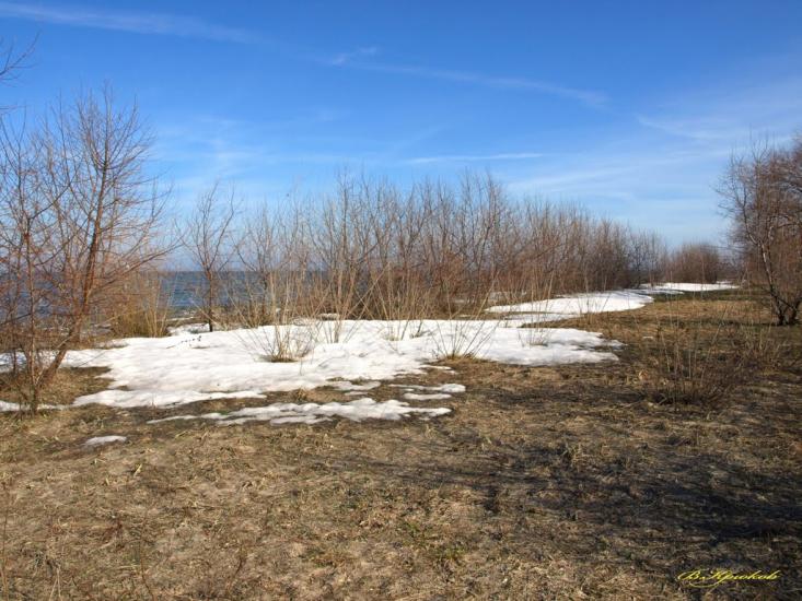 Сухолужжя з panoramio.com - Сухолужжя