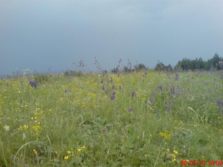 Новий Світ з panoramio.com - Новий Світ