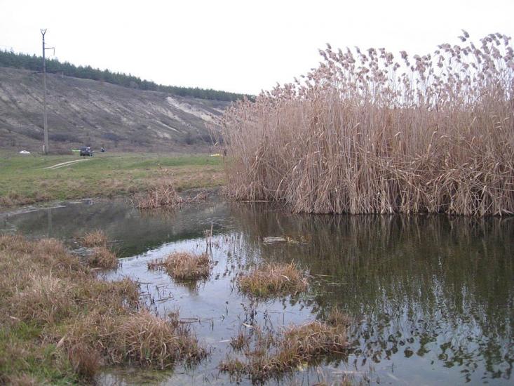 Дмитрівка з panoramio.com - Дмитрівка