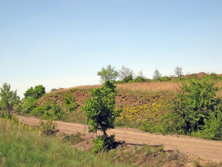 Селезнівка з panoramio.com - Селезневка