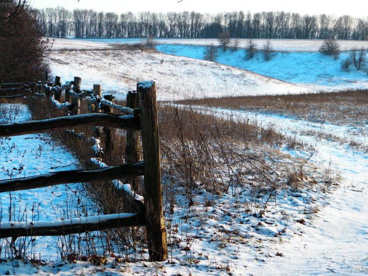 Остапенки з panoramio.com - Ostapenky