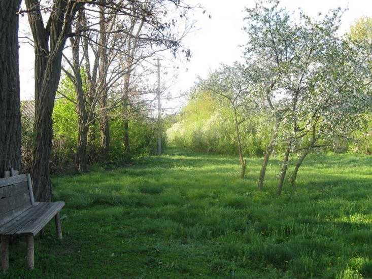 Бараниківка з panoramio.com - Бараниківка