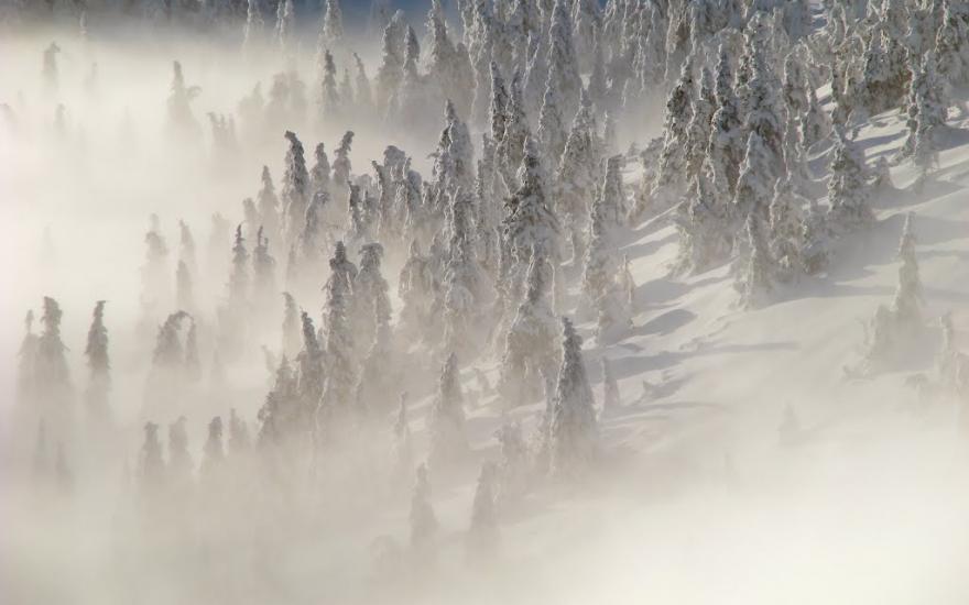 Лопухів з panoramio.com - Лопухов