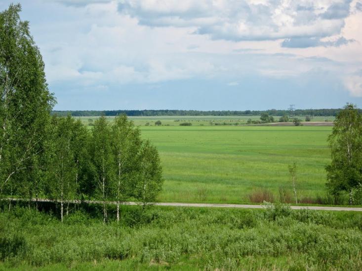 Будище з panoramio.com - Будище