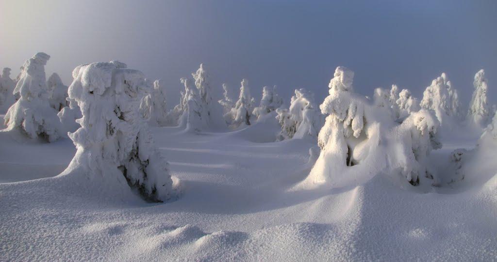 Лопухів з panoramio.com - Лопухов