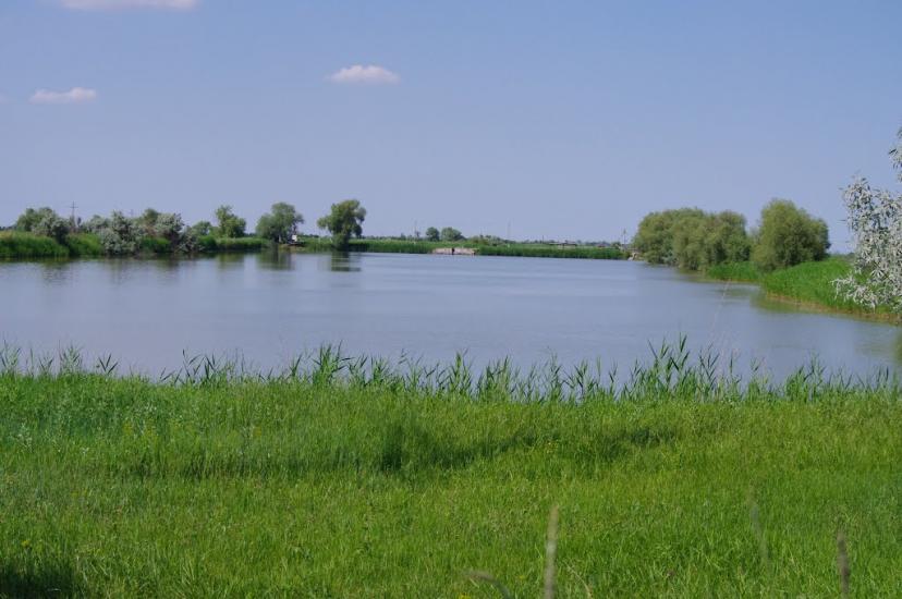 Крестянівка з panoramio.com - Krestyanivka