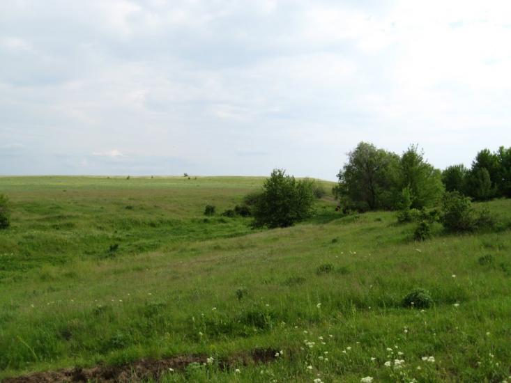 Західний з panoramio.com - Захидный
