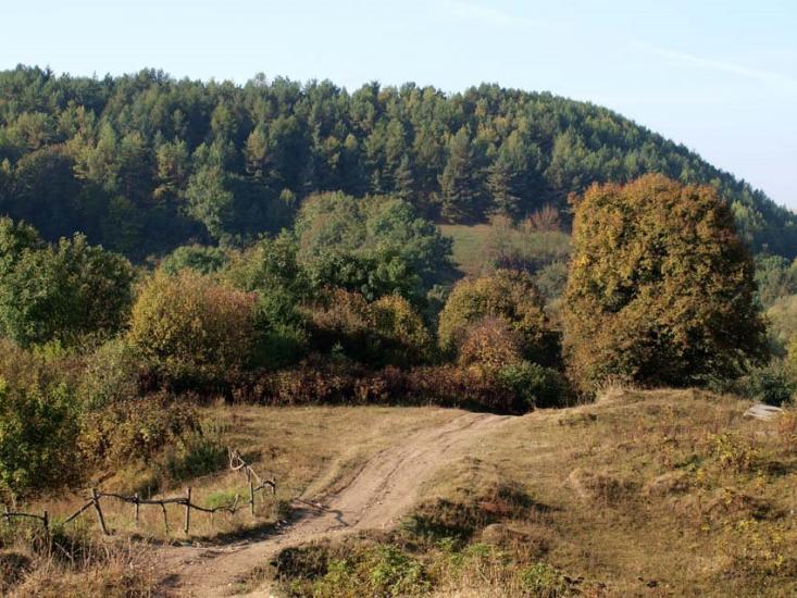 Вибудів з panoramio.com - Выбудов