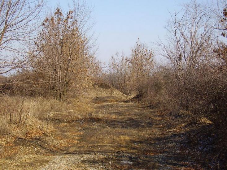 Весняне з panoramio.com - Весняное