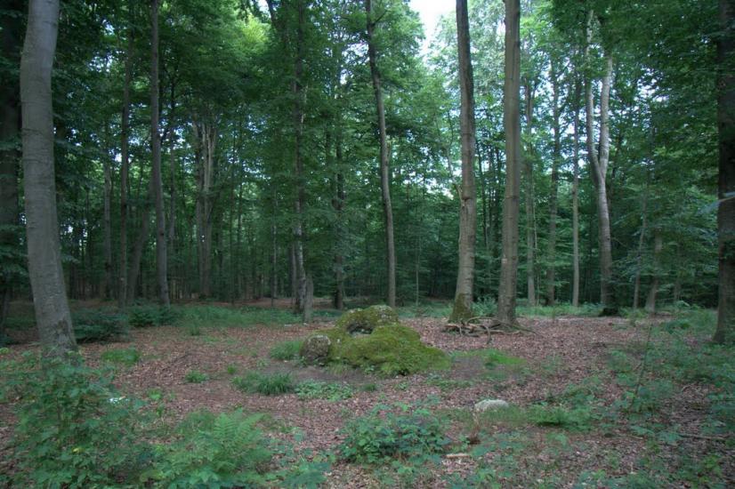 Дев'ятир з panoramio.com - Девятир