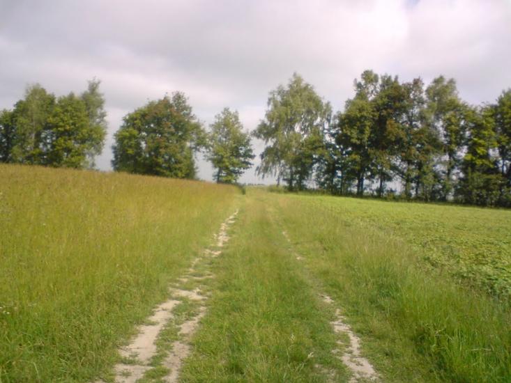 Деревини з panoramio.com - Derevyny