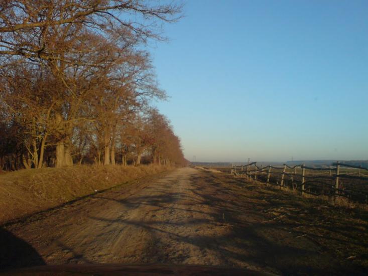 Нестерівці з panoramio.com - Нестерівці