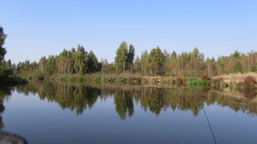 Прохорів з panoramio.com - Прохоров