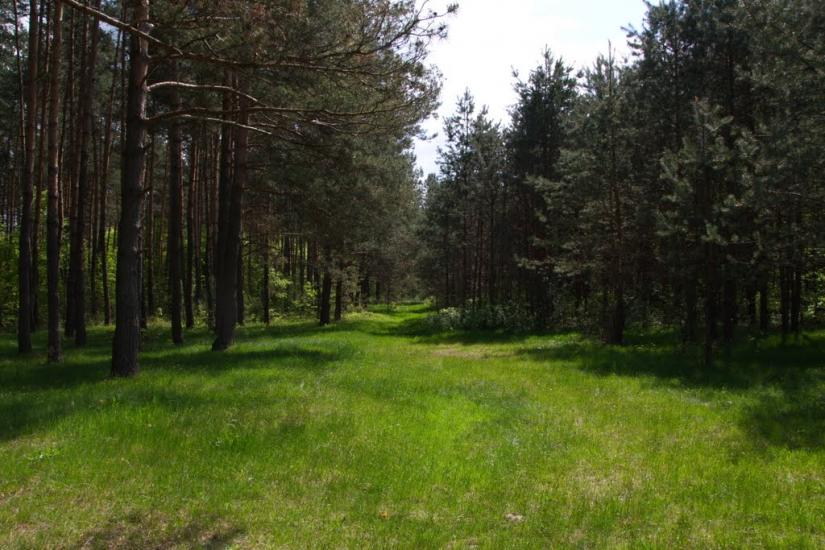 Козулька з panoramio.com - Козулька