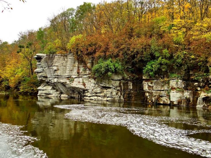 Буки з panoramio.com - Буки
