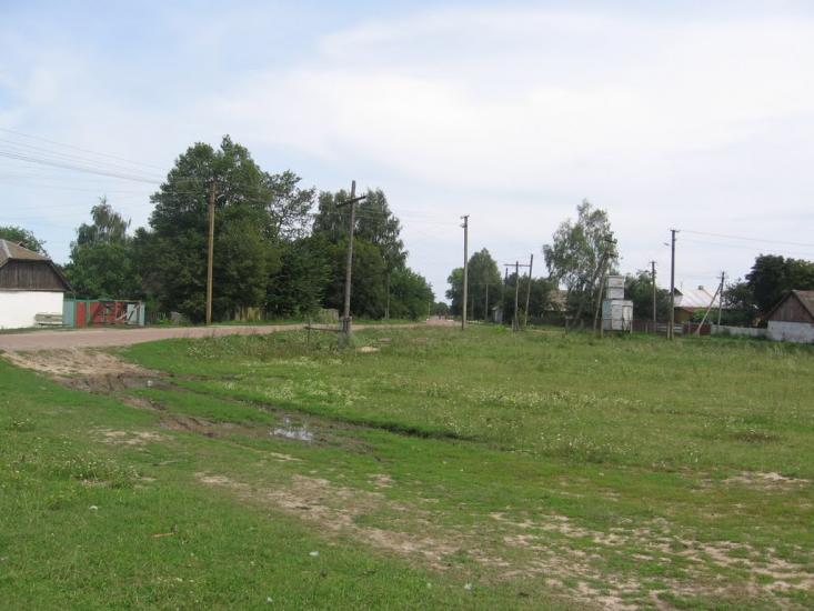 Товстоліс з panoramio.com - Товстоліс