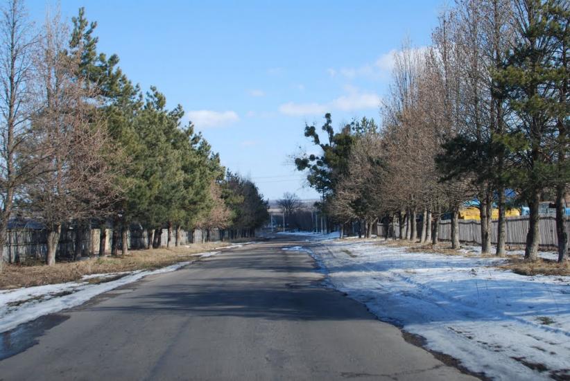 Пугачівка з panoramio.com - Пугачівка