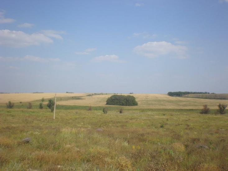 Радісне з panoramio.com - Радісне