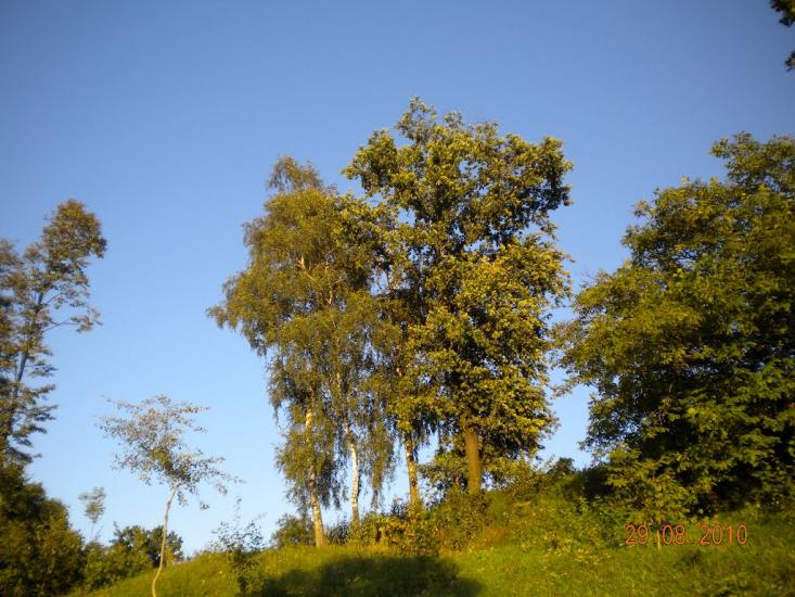 Лідихів з panoramio.com - Ледыхов