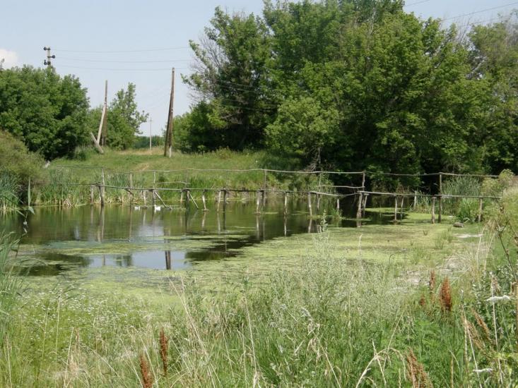 Мілуватка з panoramio.com - Меловатка