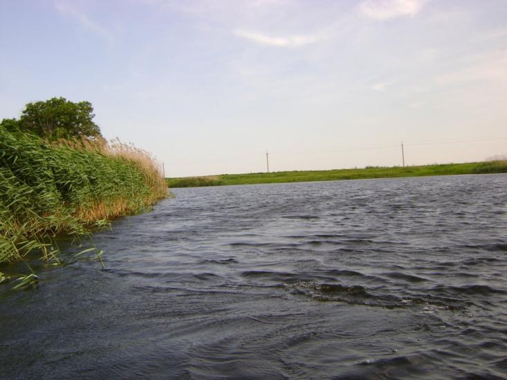 Комар з panoramio.com - Komar