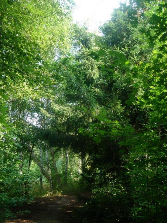 Люботин з panoramio.com (ч.2) - Люботин