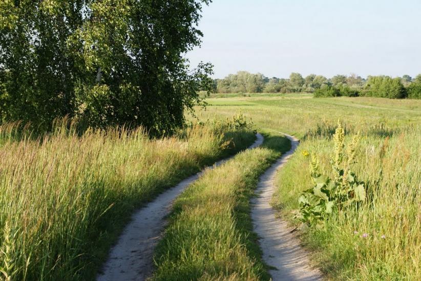 Вишнівка з panoramio.com - Вишнівка