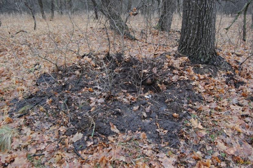 Смолянинове з panoramio.com - Смоляниново