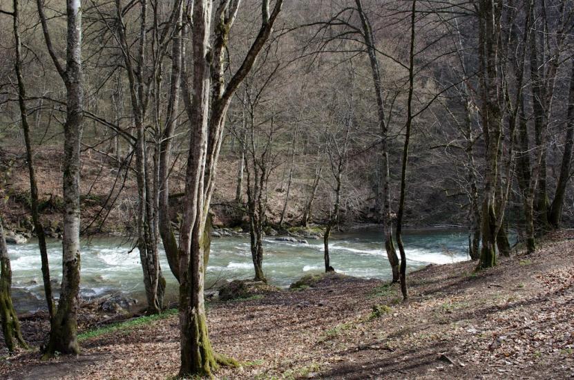 Костева Пастіль з panoramio.com - Костева Пастіль