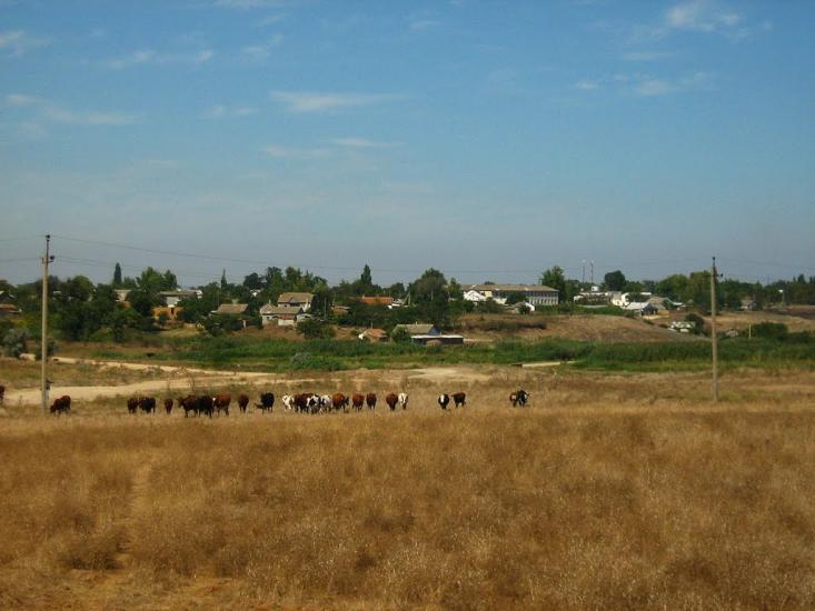 Фрунзе з panoramio.com - Фрунзе
