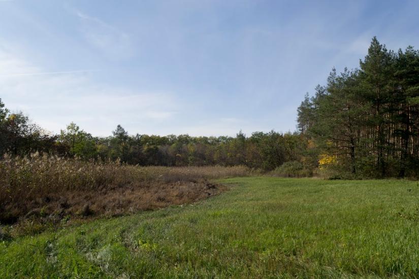 Булахівка з panoramio.com - Булаховка