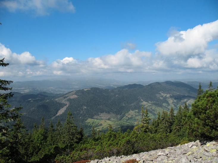 Стригальня з panoramio.com - Стригальняя