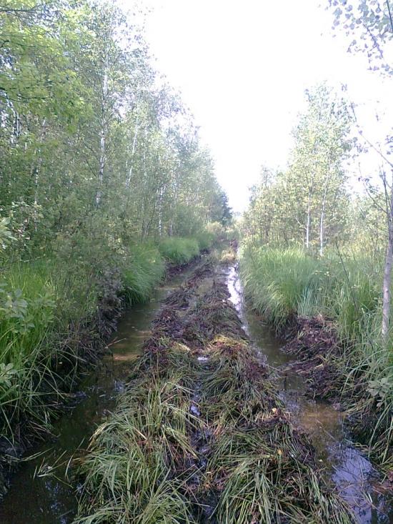 Зелена з panoramio.com - Зелена